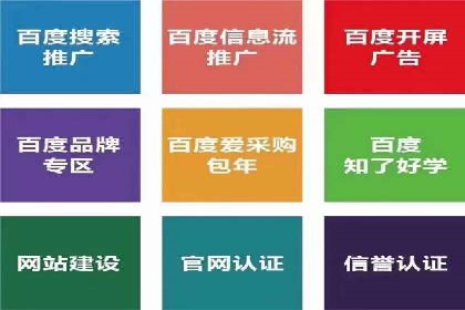 百度竞价SEM成功案例：揭秘广告投放秘诀