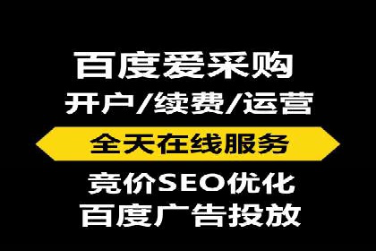 百度SEO推广公司案例：如何快速提升网站排名